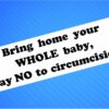 Sticker- Bring Home Your Whole Baby, Say NO To Circumcision