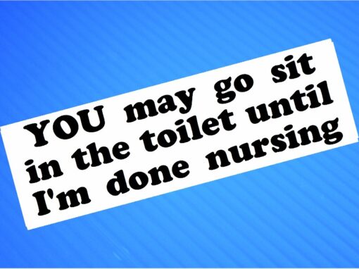 Sticker- YOU May Go Sit in the Toilet Until I'm Done Nursing