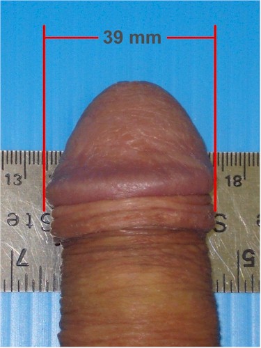 TLC Tugger flaccid and erect size examples